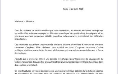 Lettre à la Ministre…