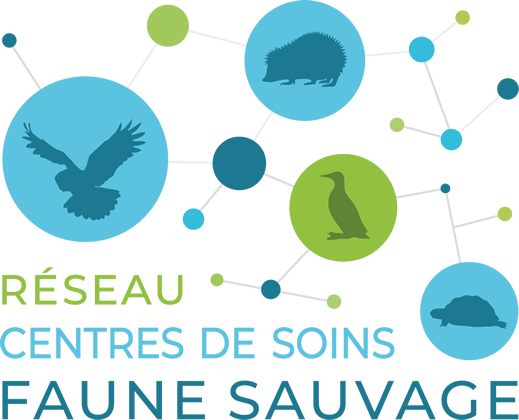 Redeau centres de soins faune sauvage