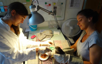 Pourquoi les centres de soins travaillent-ils dans une si grande précarité ?