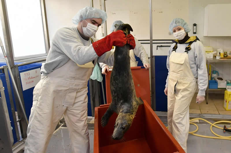 Protection des espèces sauvages et bien plus…