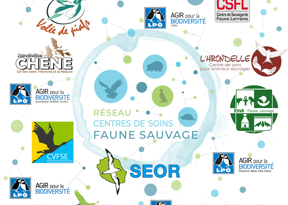 Les membres du réseau