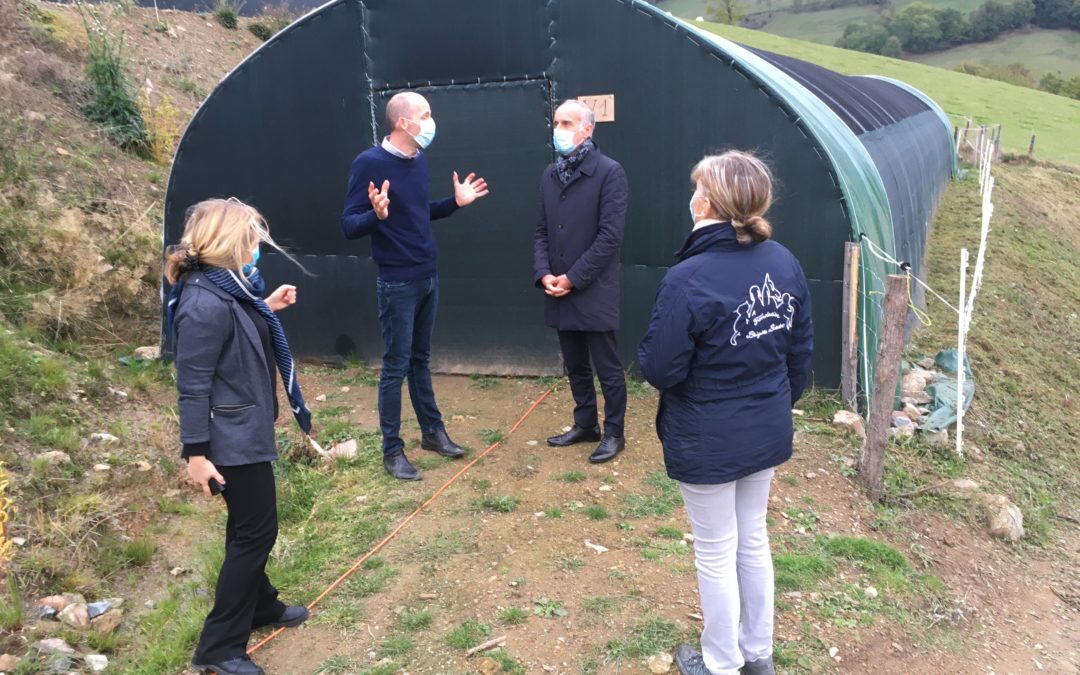 Le Réseau Centres de Soins Faune Sauvage en action !