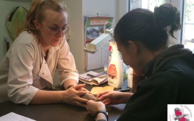Le centre de soins du Tichodrome recrute deux soigneurs.ses