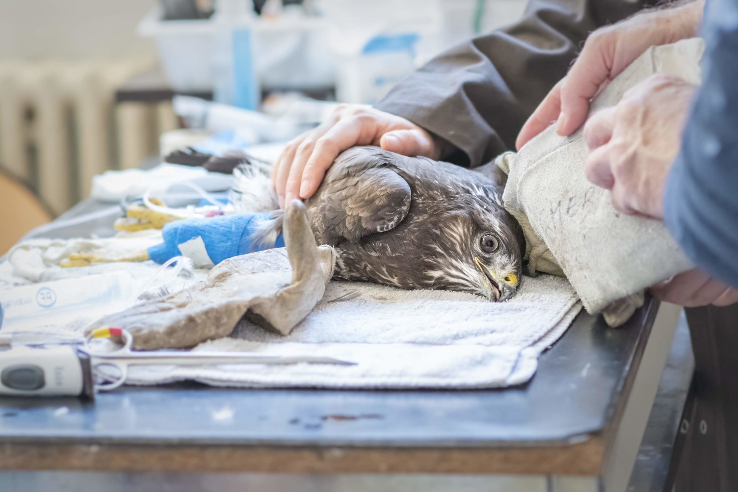 Buse variable- n°5766- soin- C.G10