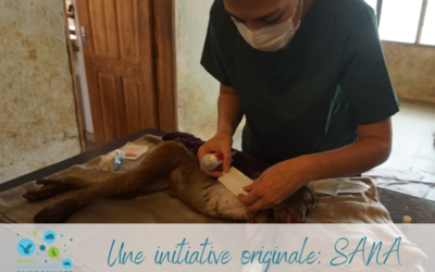 Une initiative originale: SANA
