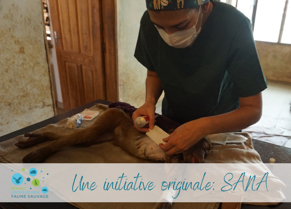 Une initiative originale: SANA