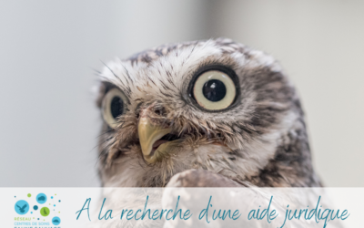 A la recherche d’une aide juridique bénévole !