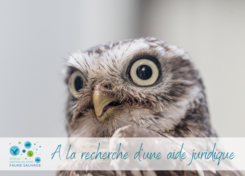 A la recherche d’une aide juridique bénévole !