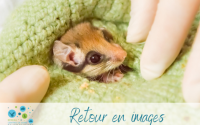 Retour en images