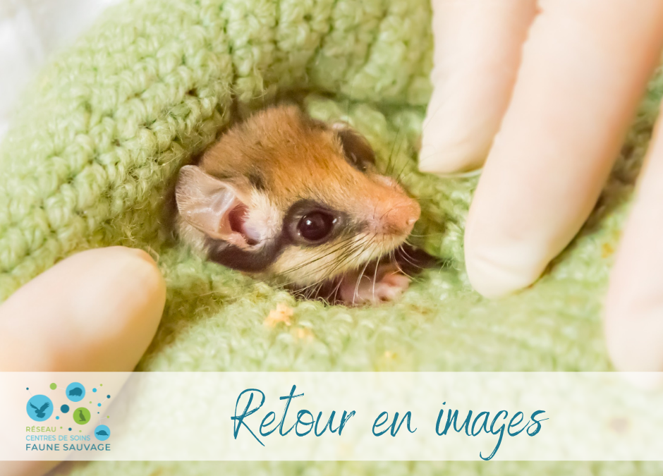 Retour en images