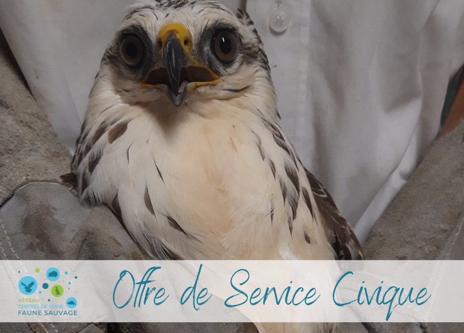 Offre de Service Civique