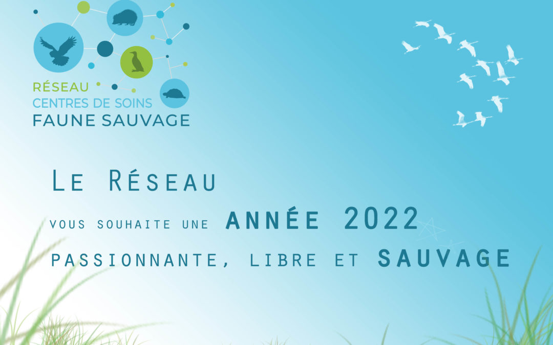 Le Réseau vous souhaite une excellente année 2022 !