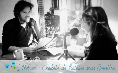 Le Réseau dans « Combats », podcast de Baleine sous Gravillon