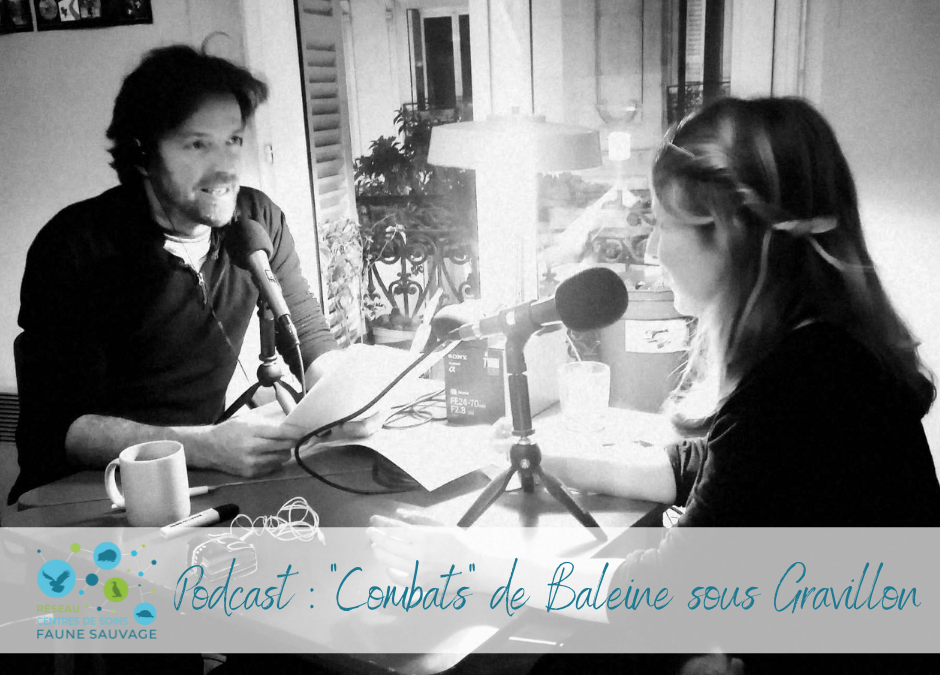 Le Réseau dans « Combats », podcast de Baleine sous Gravillon