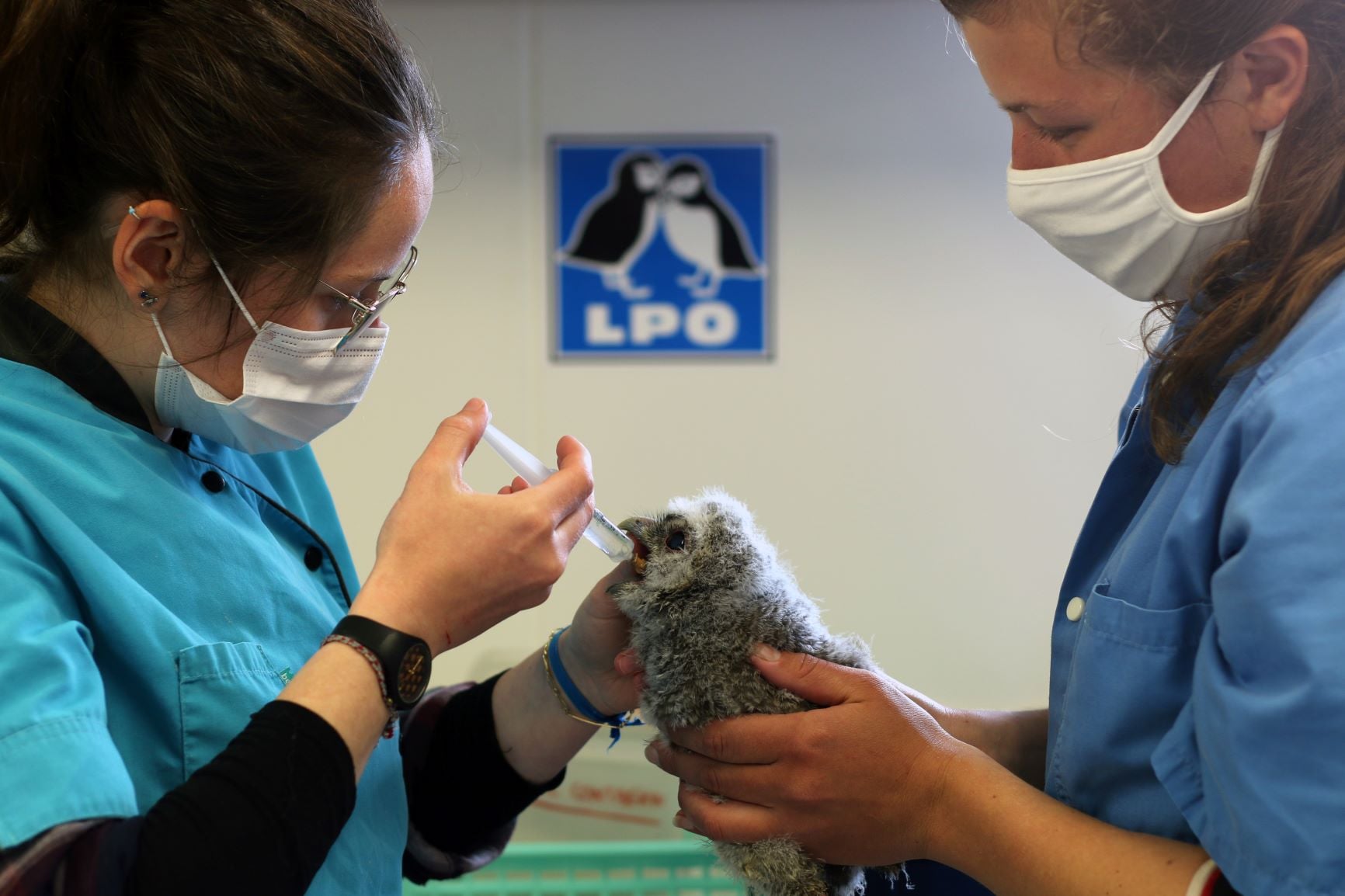 272998984_4994757790587623_1061822288518340051_n