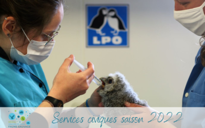 La Station LPO de l’Ile Grande recherche un service civique
