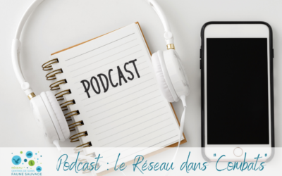 Podcast : le Réseau dans « Combats »