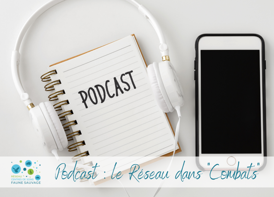 Podcast : le Réseau dans « Combats »