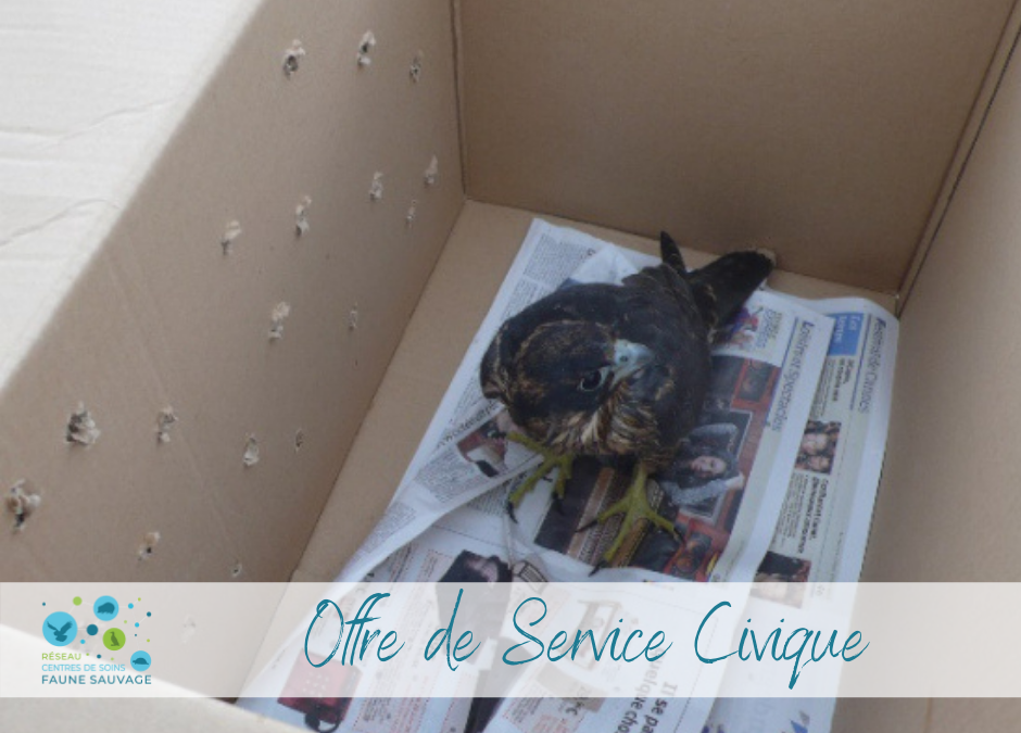 Offre de Service Civique