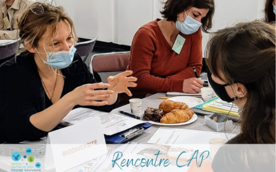Le Réseau à la Rencontre CAP
