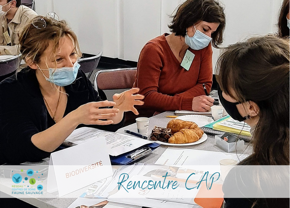 Le Réseau à la Rencontre CAP
