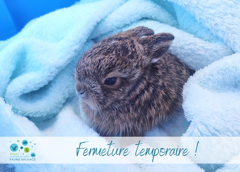 Fermeture temporaire !