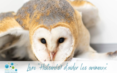 Partenariat : livre « Histoire(s) d’aider les animaux »