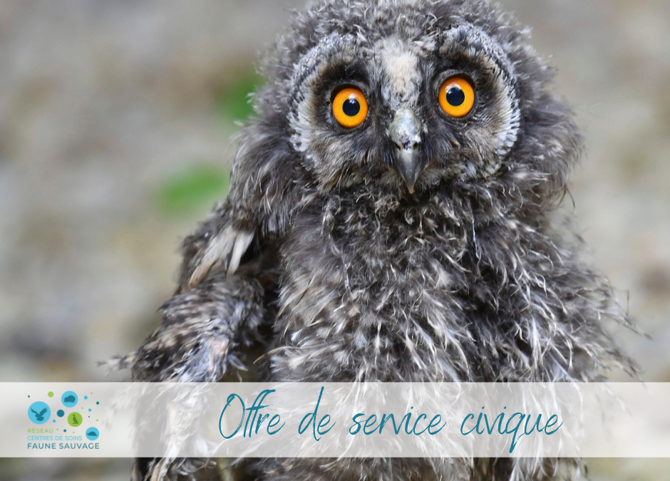 Offre de service civique au CSFL