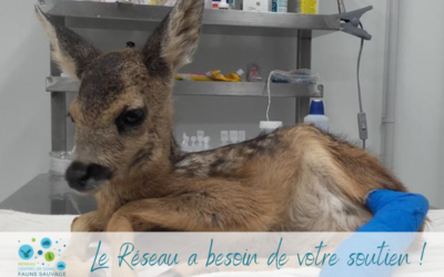 Le Réseau a besoin de votre soutien !
