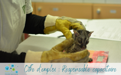 Offre d’emploi : Responsable capacitaire