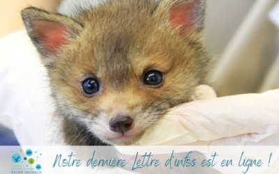 La lettre d’infos du mois d’avril est en ligne