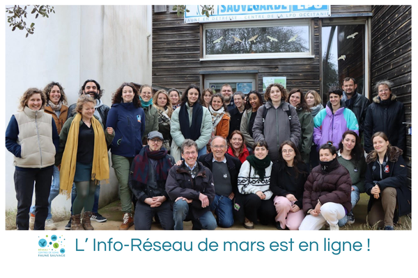 L’Info-Réseau de mars est en ligne