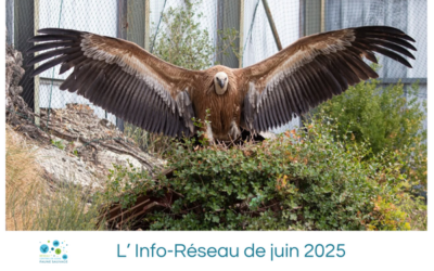 L’Info-Réseau de juin 2025