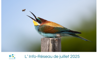 L’Info-Réseau de juillet 2025