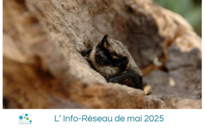 L’Info-Réseau de mai 2025