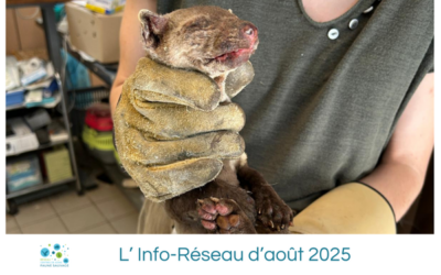 L’Info-Réseau d’août 2025