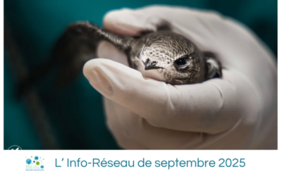 L’Info-Réseau de septembre 2025