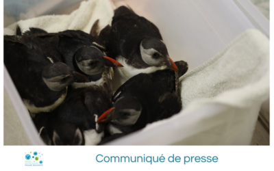 Communiqué de presse