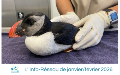 L’Info-Réseau de janvier/février 2026
