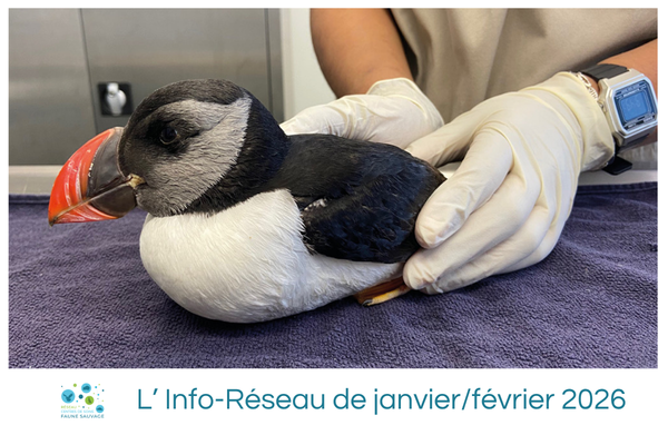 L’Info-Réseau de janvier/février 2026