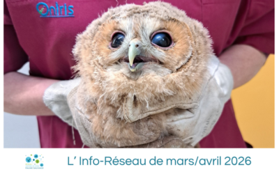 L’Info-Réseau de mars/avril 2026