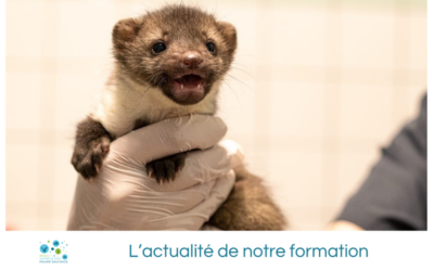 L’actualité de notre formation