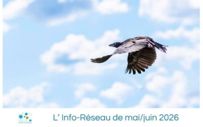 L’Info-Réseau de mai/juin 2026